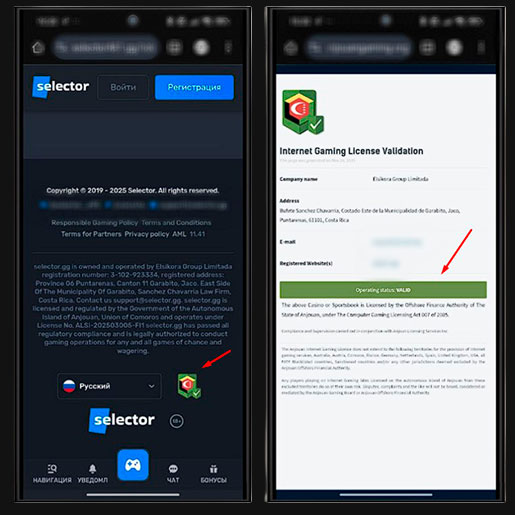 Лицензия Селектор казино